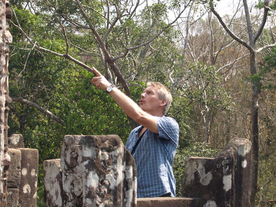 Und immer wieder gibt's was zu entdecken