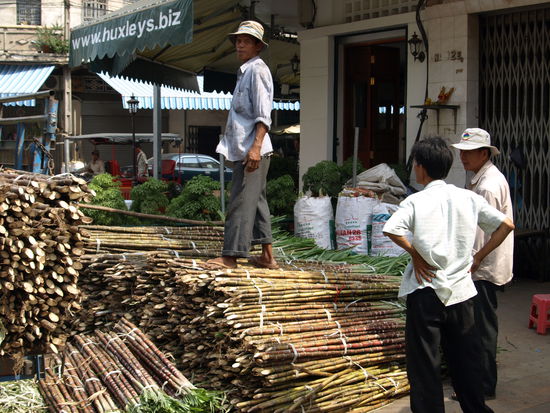 Überall wird es ausgepresst und als Grundlage für Getränke verwendet: Zuckerrohr.