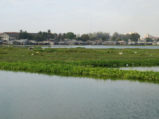 Trotz des Plastikmülls und des leicht brackigen Wassers sprangen hier erstaunich viele große Fische herum.