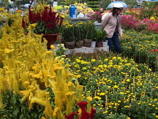 Gefühlte hunderte von Metern lange Blumenverkaufsstelle im Park