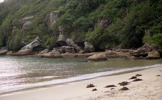 Manly Beach