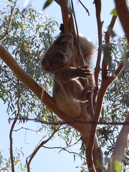 ...teilweise hoch oben...