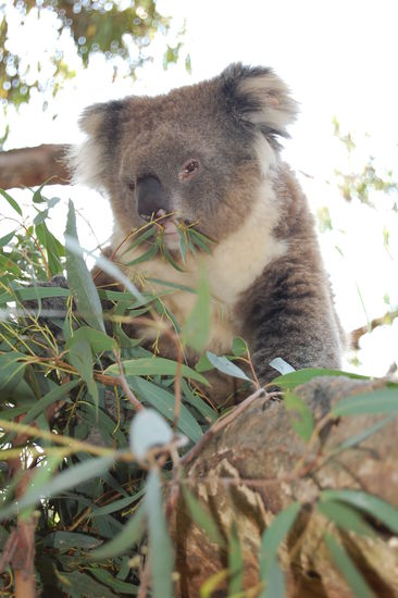 ...oder beim Fressen.