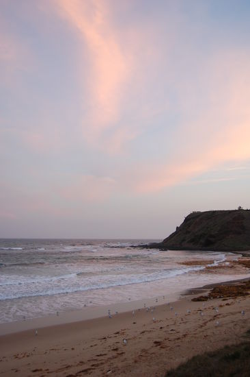 Abends am Summerland Beach, wo die kleinsten Pinguine der Welt vom Fischen zurueck kommen.