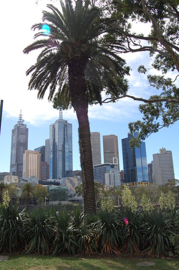 Die Skyline von Melbourne.