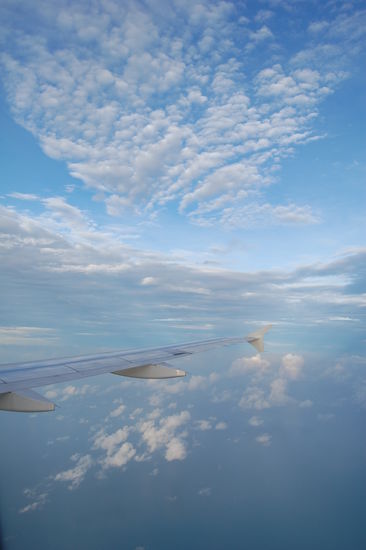 ...muss die Freiheit wohl grenzenlos sein...