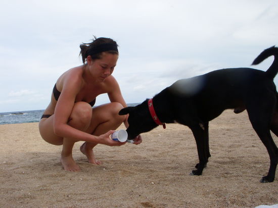 Dani fuettert am Strand einen Hund mit den Resten ihres Joghurts.