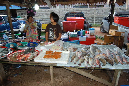 ...frischen Fisch...