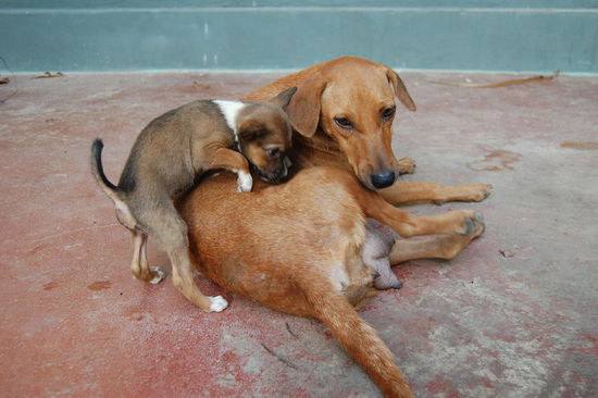 Und diese 2 Suessen gabs auch.