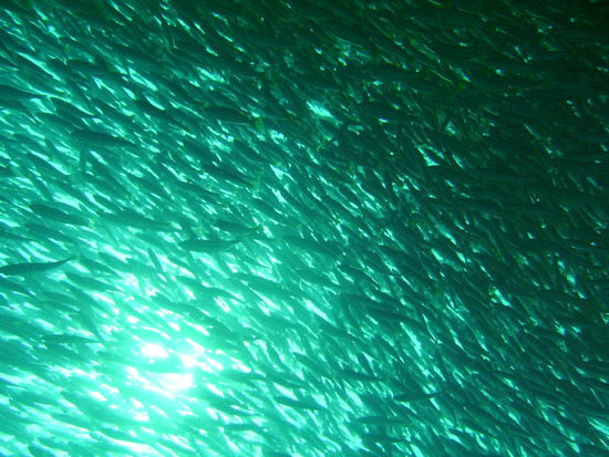 ...dass es teilweise dunkel ueber einem wird.