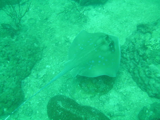 ...beim Wegschwimmen.