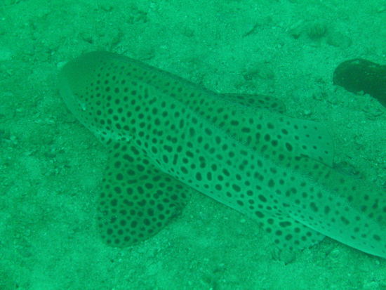 Ein bisschen näher ran muss ich natürlich 