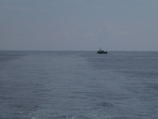 Der Shark Point guckt aus dem Wasser heraus.