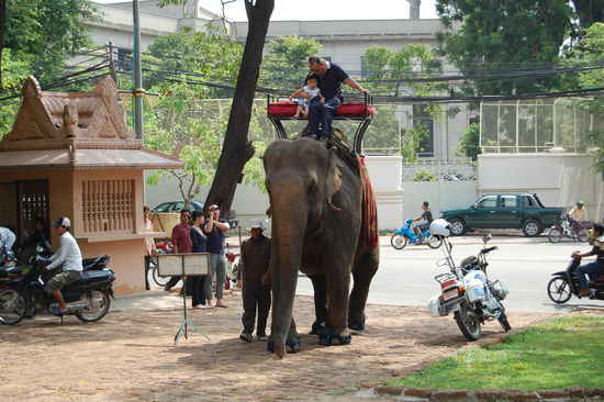 Überall laufen Elefanten als Touriattraktion herum.