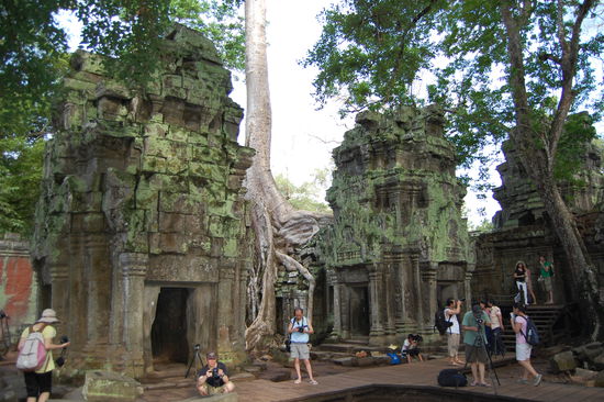 Das finden natürlich auch andere Hobbyfotografen 