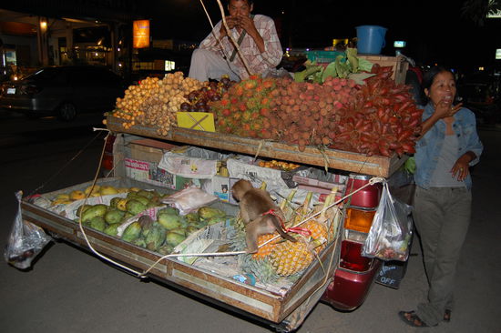 Ein fahrender Obstladen...