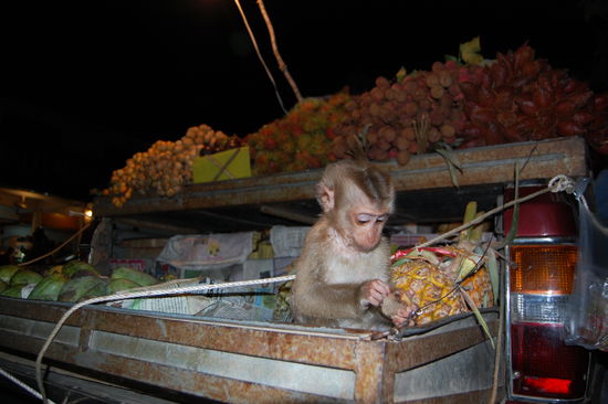 ...mit persönlichem Probierer an Bord wie süß.