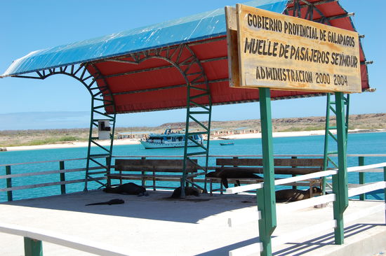 Unser Begruessungskommitee