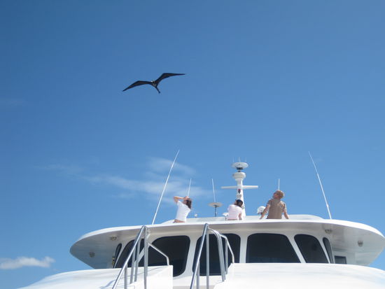 Gleich am ersten Tag flog ein Fregattvogel 20 Minuten mit unserem Schiff mit.
Jan, Caro und ich(Nadine) von hinten