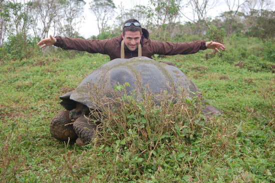 So gross sind sie, der Wahnsinn.