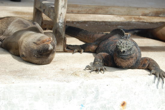 Unser Abschiedskommitee.
Bye bye...