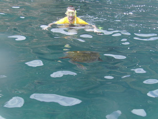 Es sieht nur so aus als haette Stefan Angst vor der Schildkroete vor ihm, eigentlich taucht er nur grad auf und holt Luft