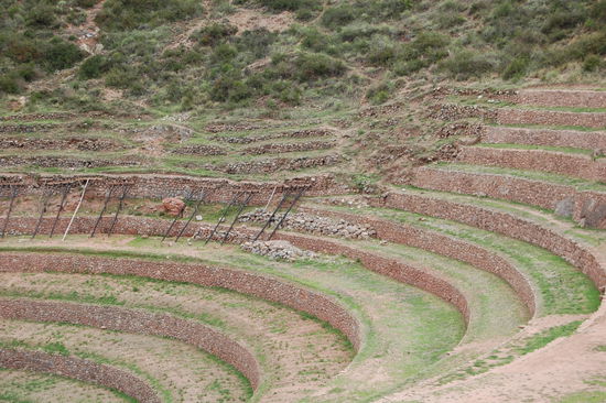 Die alten Mauern muessen restauriert werden, da sie sonst komplett zerfallen.