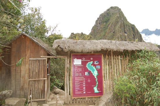 Hier die Zwischenkontrolle um auf den Waynapicchu auch "junger Gipfel" genannt (im Hintergrund zu sehen) zu steigen bzw. klettern. Man muss sich aber beeilen, da pro Tag nur 400 Leute in 2 Etappen (7 Uhr(hier waren wir natuerlich dabei) und 10 Uhr) rauf gelassen werden. Und als wir den Kraxelsteig sahen wussten wir auch warum... nach ca. 1 Stunden kamen wir voellig verschwitzt udn platt aber gluecklich oben an und wurden fuer unsere Muehe belohnt.