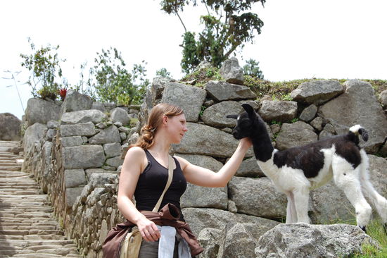 Da Babyalpaca war so suess und flauschig.