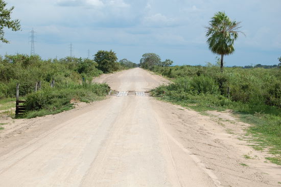 Eine von den sehr abenteuerlichen Bruecken...