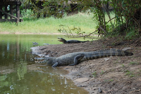 ...was ich(Nadine)natuerlich gleich mal getestet hab, is doch klar