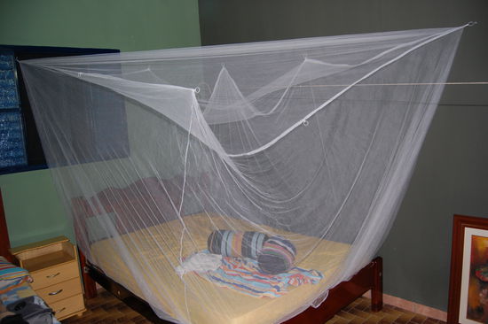 Unser ueberlebenswichtiges Moskitonetz