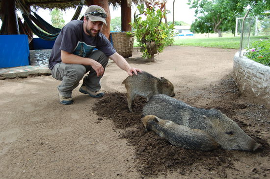 ...wie man sieht, traut sich sogar Stefan ran.