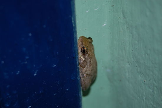 Unser Freund und Mitbewohner