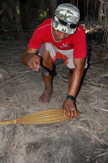 Hier zeigt uns Sandro, wie man sich einen Trinkbecher fuer Wasser in der Wildnis zaubert. Dieser filtert und reinigt zusaetzlich ganz natuerlich das Wasser, wie praktisch. Den Namen der Pflanze haben wir leider vergessen, aber es ist von einer Palme.