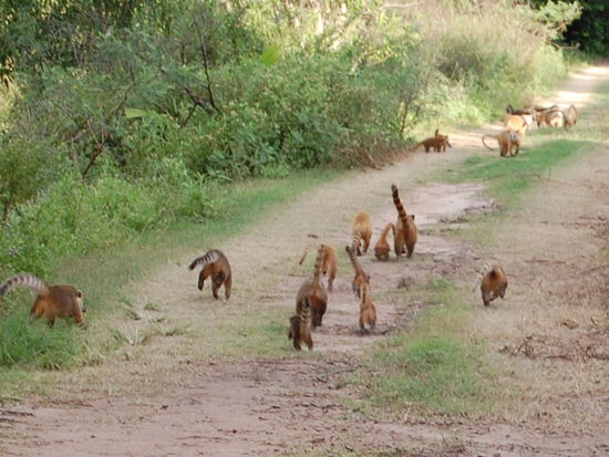 ...und dann ganz viele andere gross und klein hinterher. Unbeschreiblich.