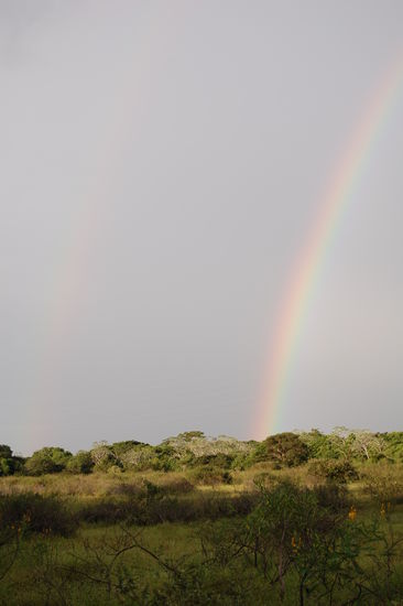 Ein Gewitter zog auf.