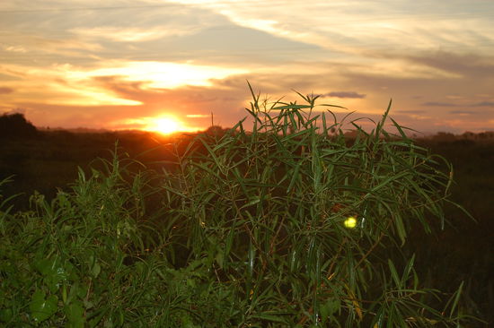 Und nach dem Regenschauer dieser Sonnenuntergang.