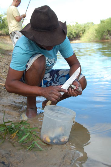 Sandro nimmt die Fische gleich am Fluss aus und fuettert deren Artgenossen mit den Innereien.