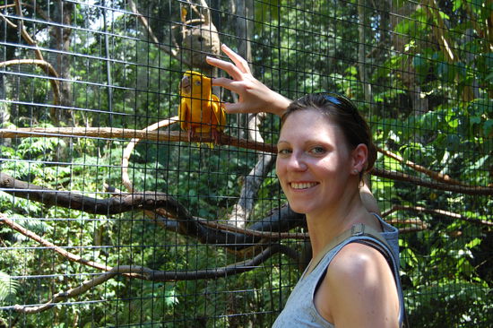 Dieser kleine gelbe Papagei hat sich genuesslich von mir kraulen lassen. Die Leute vor uns haben sich natuerlich nicht getraut rein zu fassen, aber ich schon, so wie ich halt bin, gel