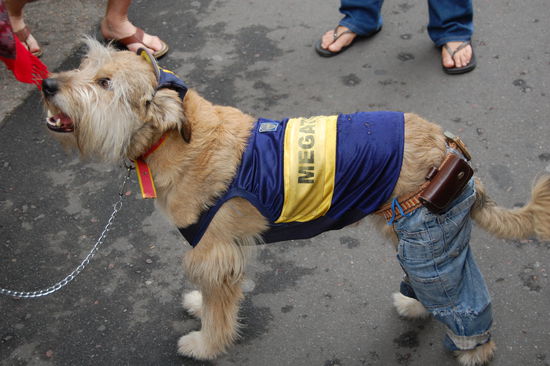 Sieht der nicht hip aus 
