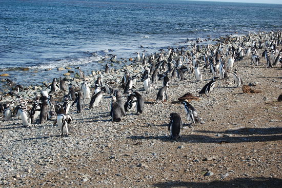 Hier herrscht ein staendiges Kommen und Gehen.