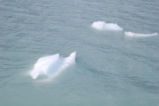 Als erstes haben wir eine Bootstour auf der Suedseite des Gletschers gemacht und hier kamen uns gleich mal ein paar Eisbrocken entgegengeschwommen.