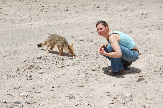 Und von mir bekommt er natuerlich was. Er mochte zwar keine Nudeln, dafuer unseren Apfel umso mehr. Komischer Fuchs, oder?