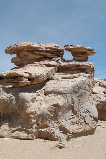 Suchbild! Wen seht ihr wo?