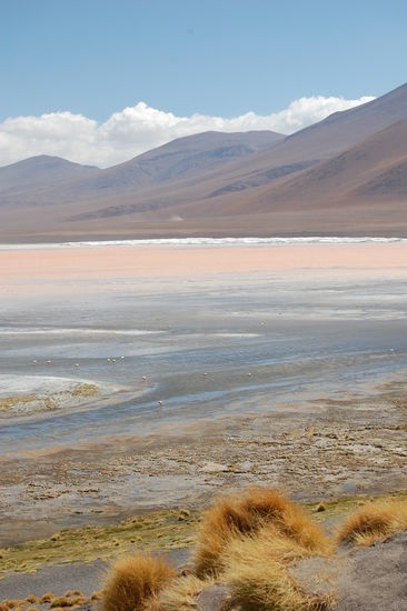 Man kann sich gar nicht sattsehen von den tollen Farben.