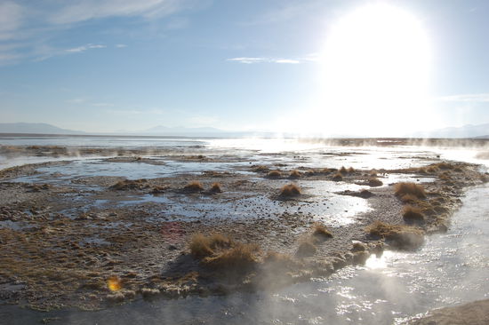 Aussicht aus dem Pool.