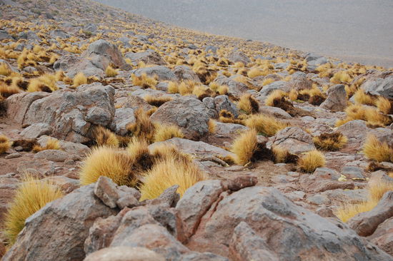 Hier schneit es! Man sieht es vielleicht ein bisschen im Hintergrund runterrieseln!? Also ich erkenn es, Stefan net!?