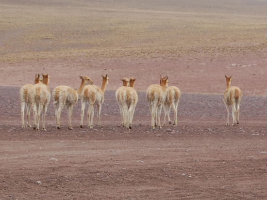 Das ist doch ein nettes Bild 