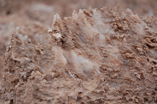 Salzkristalle, zum Teil mit Lehm ueberzogen, welcher vom Regen abgewaschen wird.